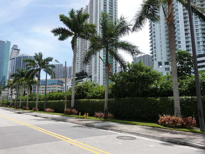 MIA_2023-08-21 12-22-38_RX_06286